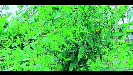 bangla choti golpo 2024,choti golpo,new bangla choti golpo,bangla choti,1 thumbnail