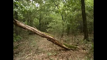 /beam/67a861b8cc498f247e7f52bc