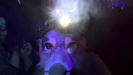 /beam/67a86385cc498f247e95da50