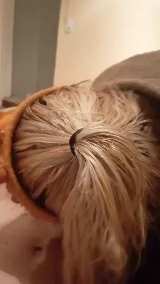 /beam/67a8633ccc498f247e92108b