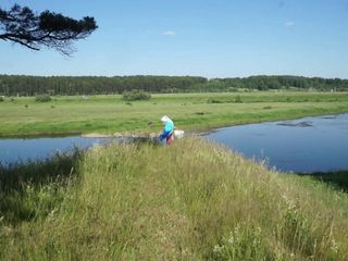 An open meadow on the Volga river