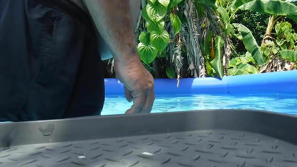 Fat belly in the pool