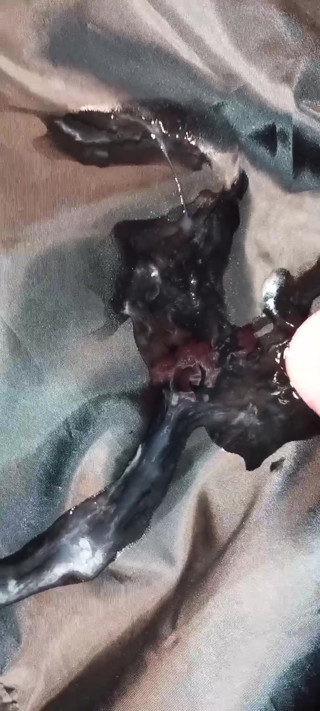 2 cumshots on the heavenly lining of  a black woolen ladycoat