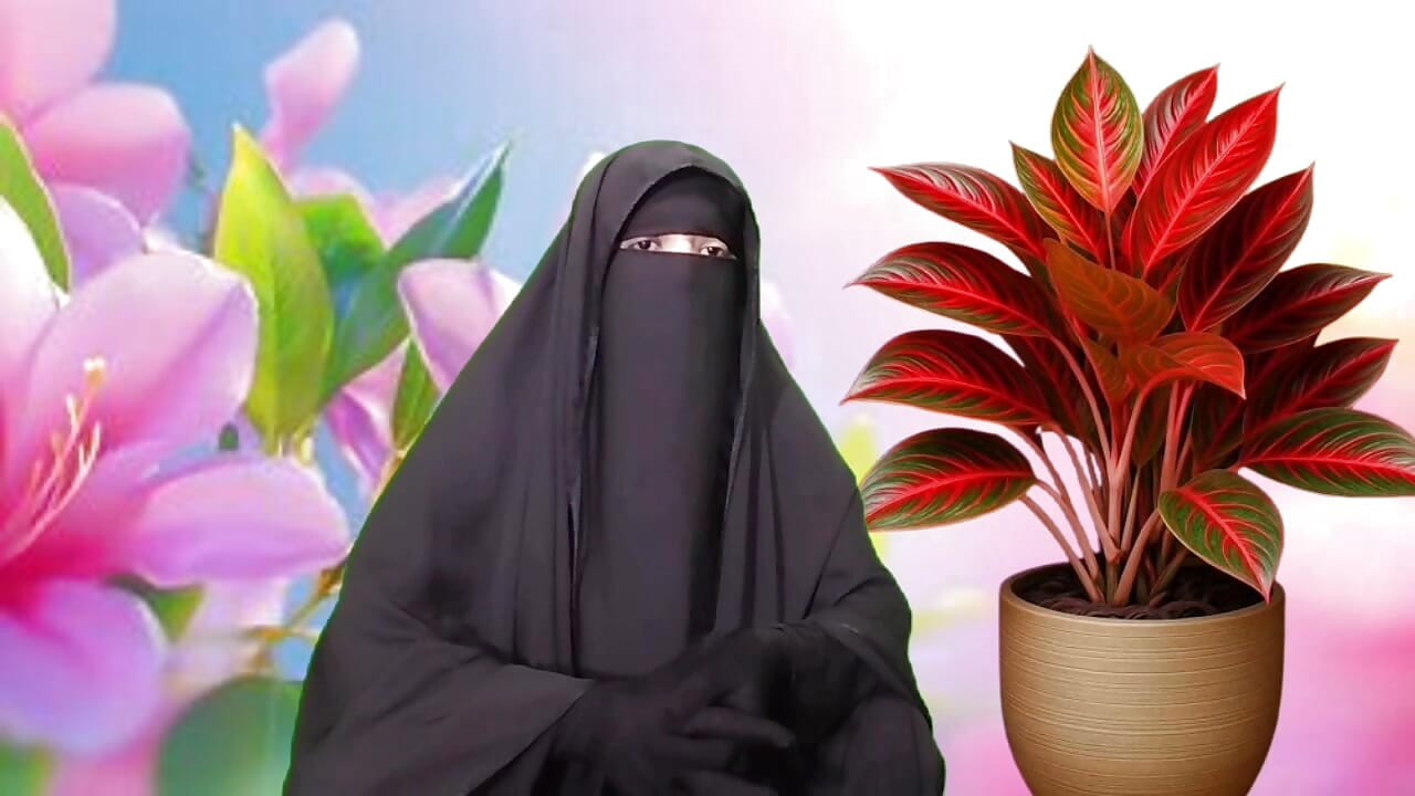porn story Bangla – Bangladeshi sex