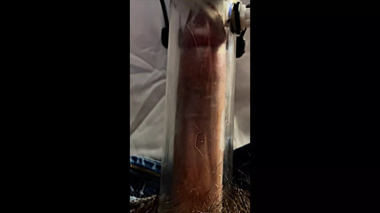 Milking machine sucks and stretches cock