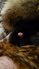 Cock buried in fur till it cums furry cum shot