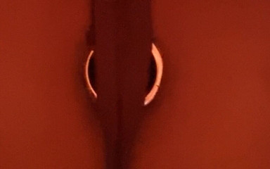 POV: Buttplug Pushdowns on You thumbnail