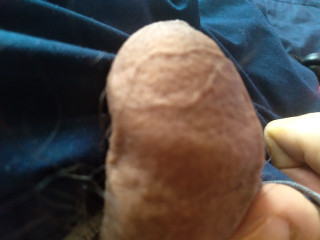 My dick gets really hard when I'm alone.
