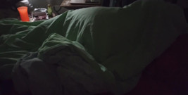Morbid Old Man Enters His Wife's Room and Records Her