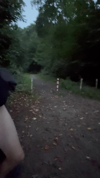 Risky Walking