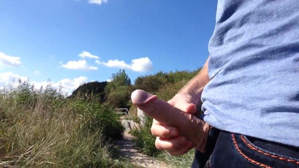 public dick flash