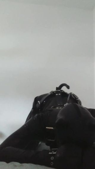 /beam/67a86043cc498f247e69bf0c