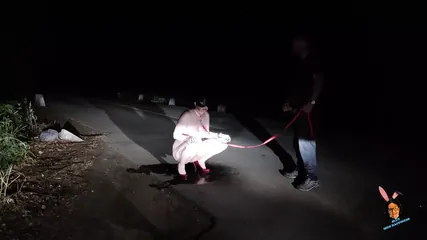 /beam/67a8625ccc498f247e871e14