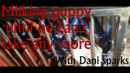 caged pup left on the milking Machines BDSM