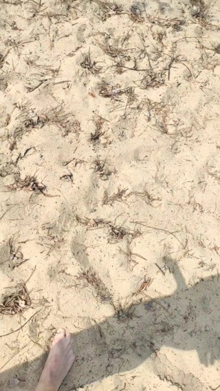 Nude beach