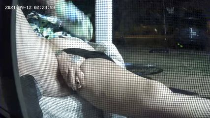 /beam/67a8617acc498f247e7c2351