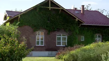 /beam/67a861b3cc498f247e7f149a