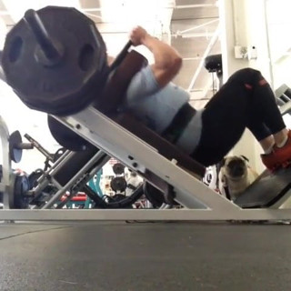 Musclebound love II