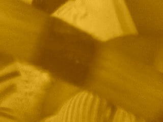 /beam/2905442