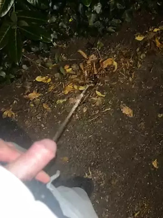 Public solo male piss