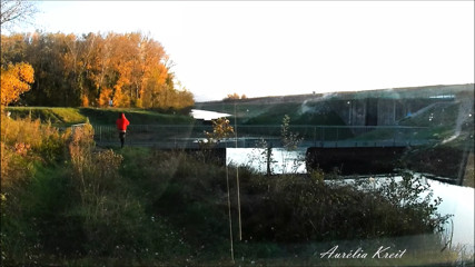 just a walk with an anal plug in nature during sunset