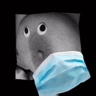 /beam/67a86035cc498f247e68e8f4