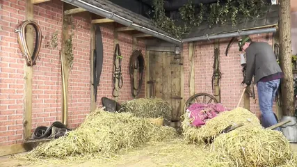 /beam/67a861d1cc498f247e806b30