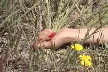 /beam/67a85fc5cc498f247e61cabd