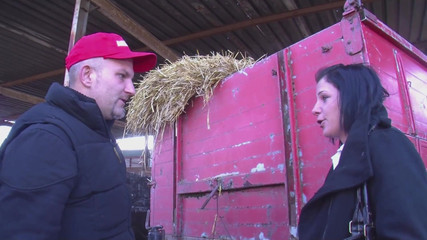 /beam/69635baf3f0d81077a3d83aa