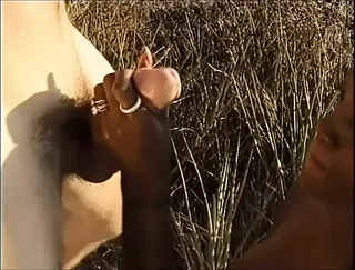 /beam/67a8621acc498f247e83f6ca