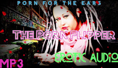 AUDIO ONLY - The porn flipper