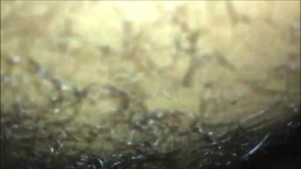 /beam/67a860e4cc498f247e736f5c