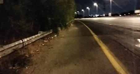The  night of naked walking in public