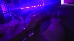 Fun time