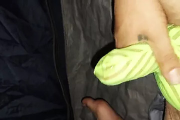 quick nut in elephant breifs