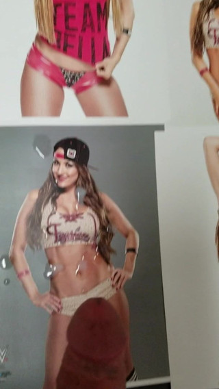 WWE Nikki Bella Cum Tribute 3