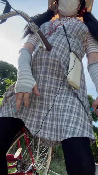 No290 Playing with Anal Plugs on the Street During the Day