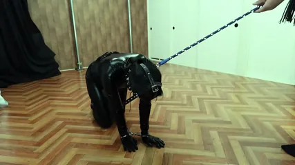 /beam/67a8637fcc498f247e9581db