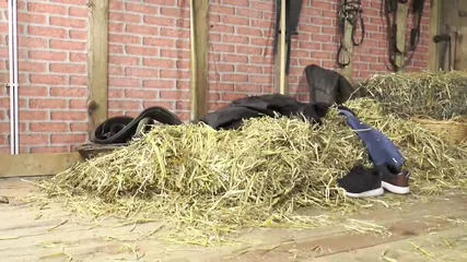 /beam/67a861d1cc498f247e806b31