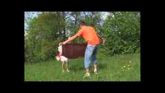 Sane Corna Familiari - Episode 4