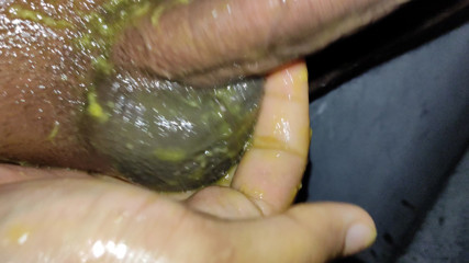 Chilled Mango on Cock