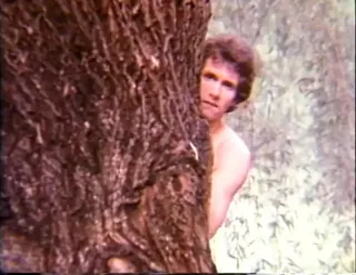 /beam/67a86210cc498f247e8373d1