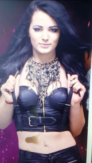 wwe paige