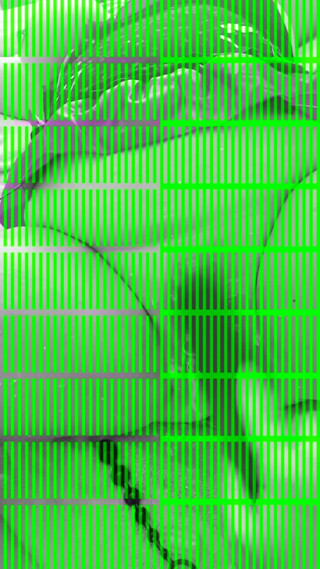 /beam/7781891