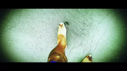 /beam/67a86335cc498f247e91c495