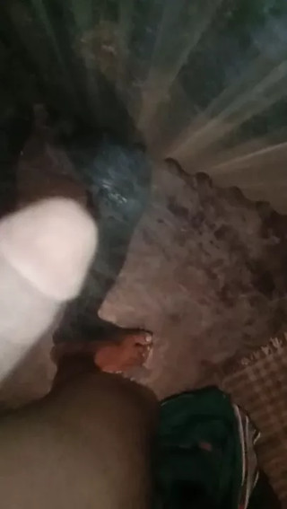 Desi Penis