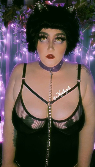 Adventures In Toyland - Catwoman Edition