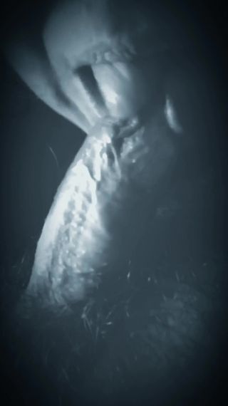 /beam/67a85f8acc498f247e5ddc36