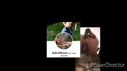 Gape Tunis 2