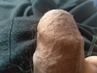 gay man erects his hard cock alone